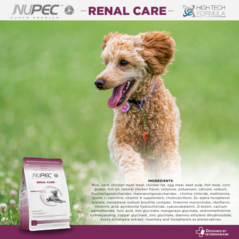 NUPEC Renal Care