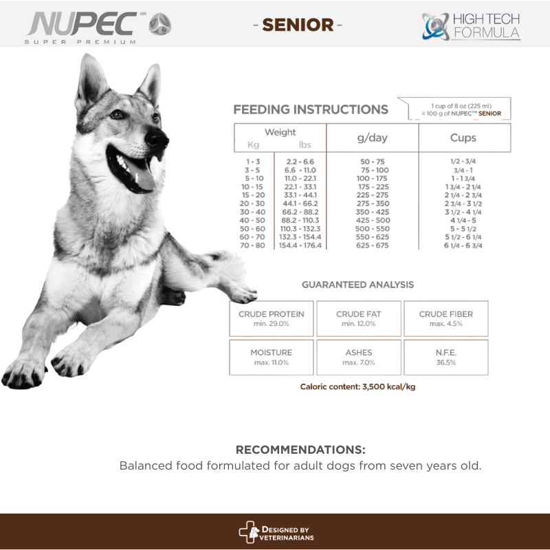 NUPEC Senior