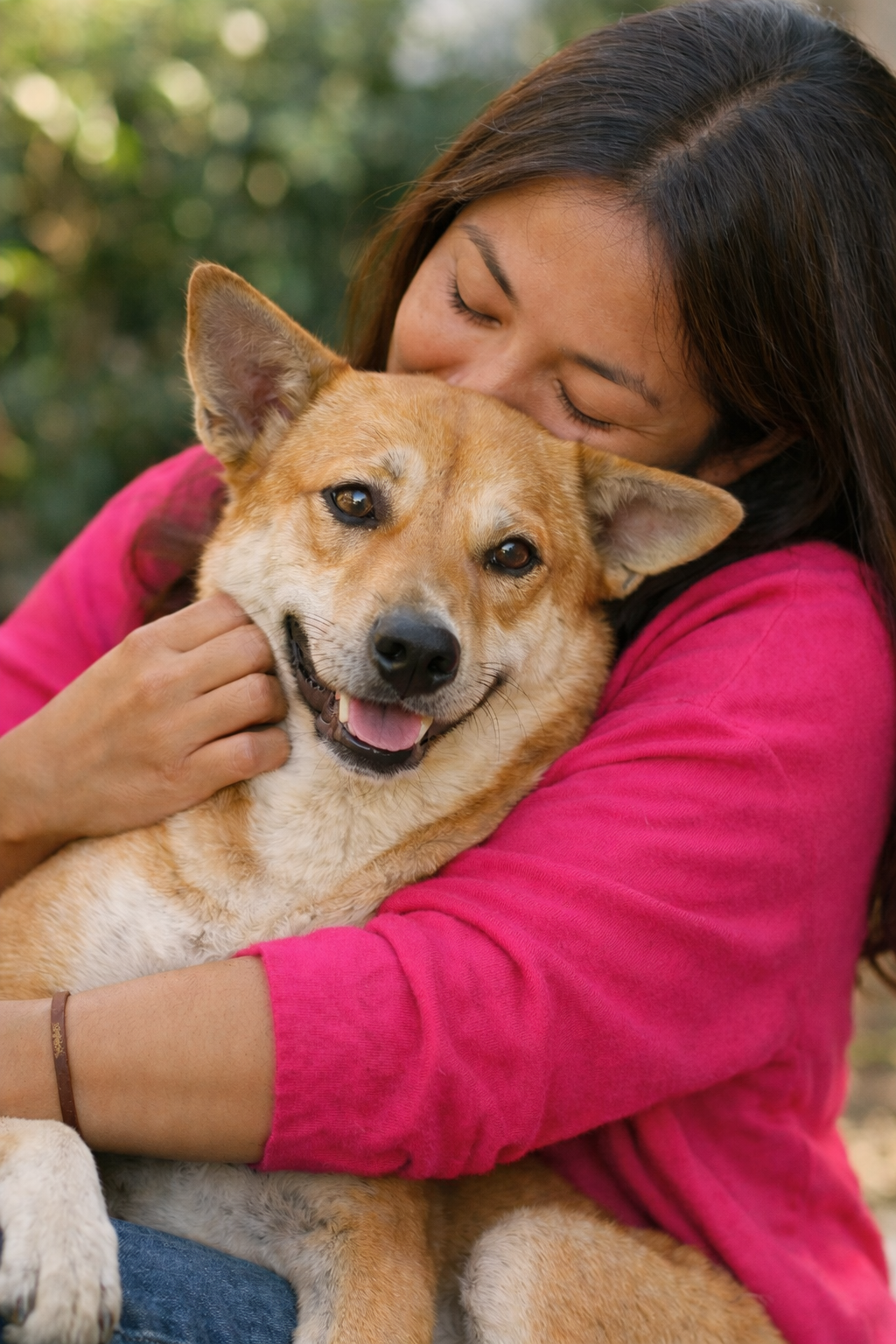 Dogs (Canines)
