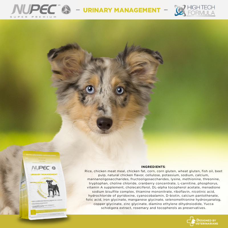 NUPEC Urinary Management