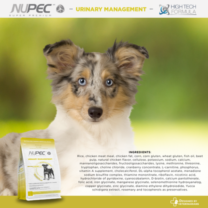 NUPEC Urinary Management