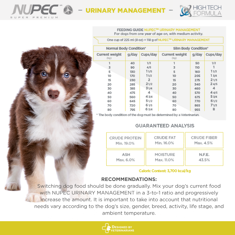 NUPEC Urinary Management