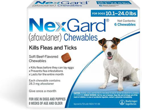 Nexgard Regular Chewable Tablet