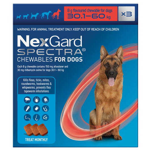 Nexgard Spectra Chewable Tablet