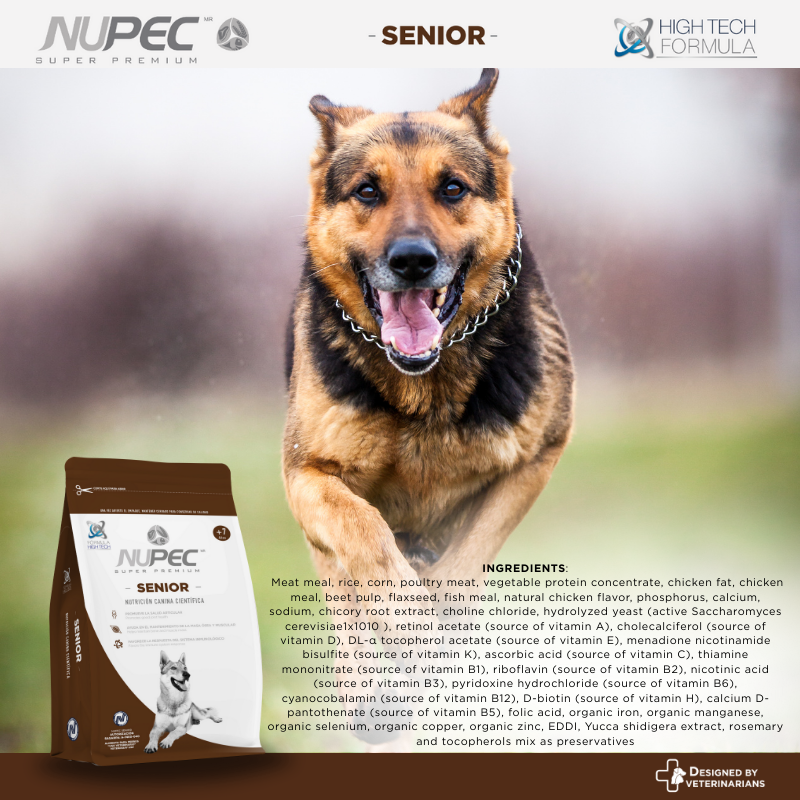NUPEC Senior
