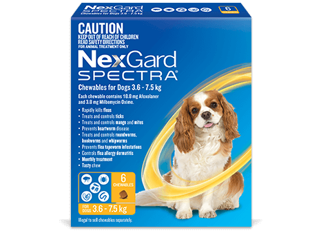 Nexgard Spectra Chewable Tablet
