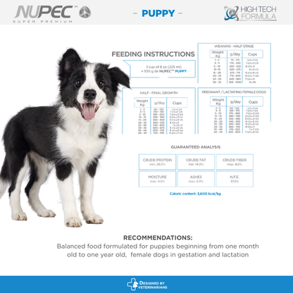 NUPEC Puppy