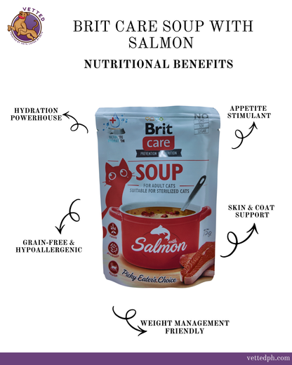 Brit Care Soup with Salmon: Omega-Rich Hydration