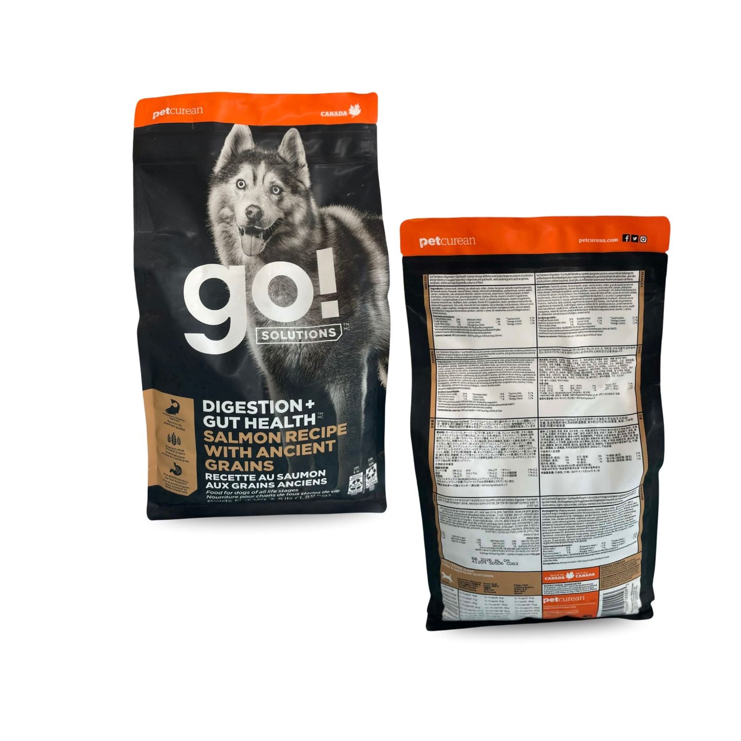 Go! Solutions- Digestion + Gut Health Salmon Recipe with Ancient Grains