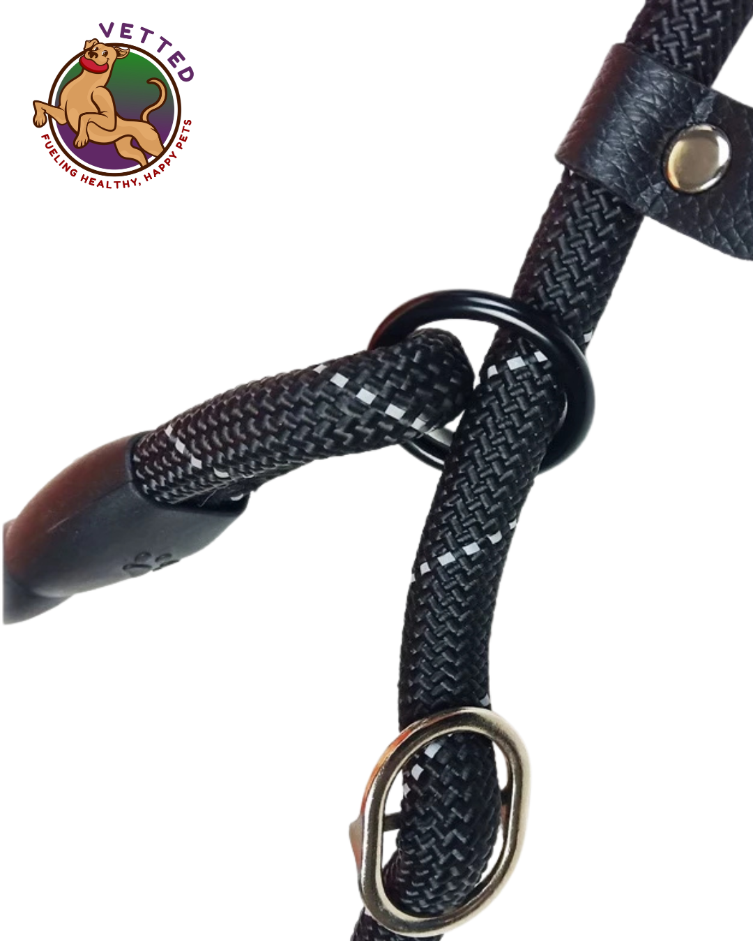 Dog Leash