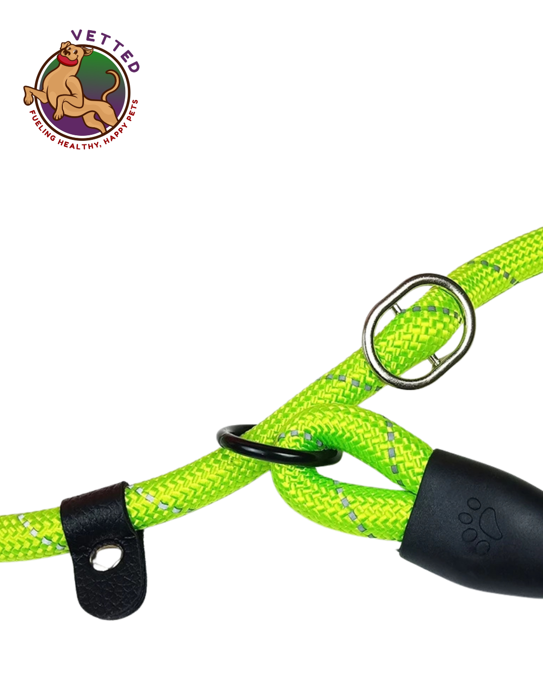 Dog Leash