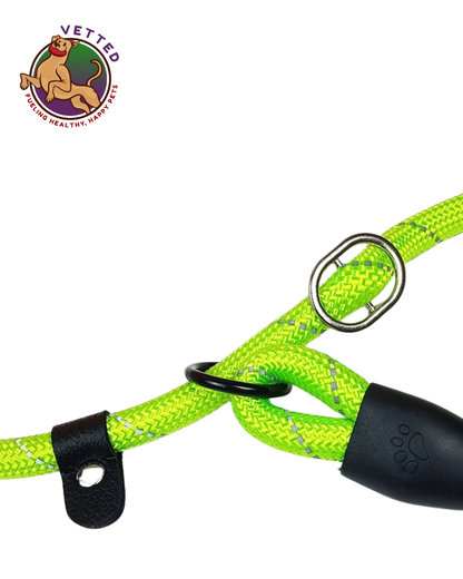 Dog Leash